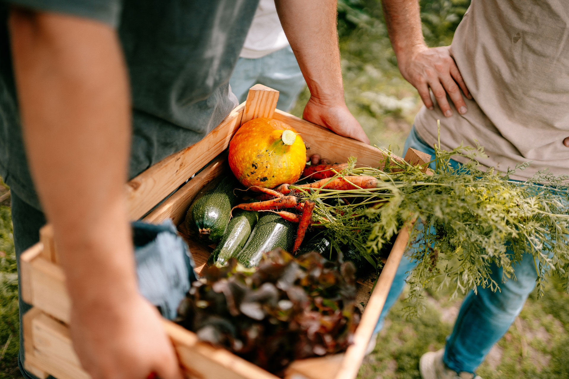 ElskeNissen_Oerkracht_20250727_135729